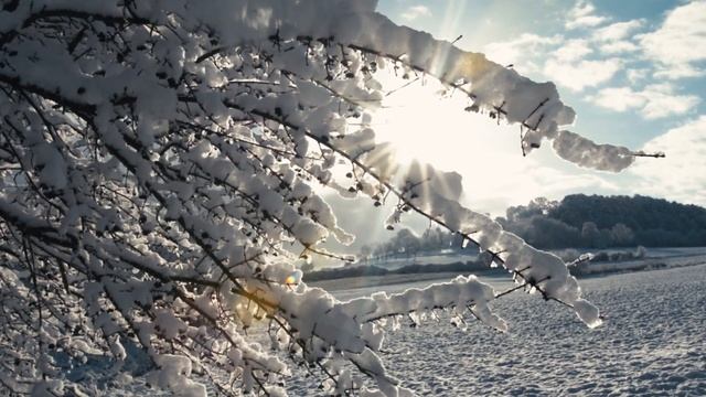 Winter | Nikon D7100 + Sigma 18-35mm 1.8 art смотреть онлайн