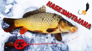 Карп на безмотылку зимой - платная рыбалка в Подмосковье