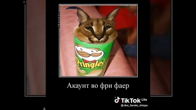 шлëпа