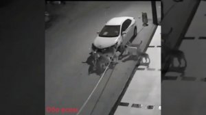 Собаки разорвали машину