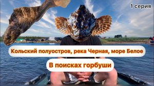Кольский полуостров, море Белое, река Черная. В поисках горбуши.
