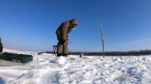 Амурские щуки не дают расслабиться. Лучшие приманки дня по щуке