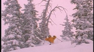 Видеоучебник по телемарку.  Unparalleled productions telemark lessons.