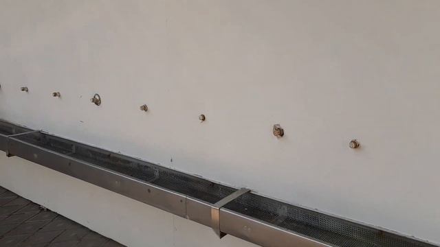 Собор Александра Невского Ялта 27 октября 2021 смотреть онлайн