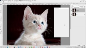 Фильтр Масляная краска в Adobe Photoshop 2022 [Новые фильтры в Фотошопе инструкция по использованию
