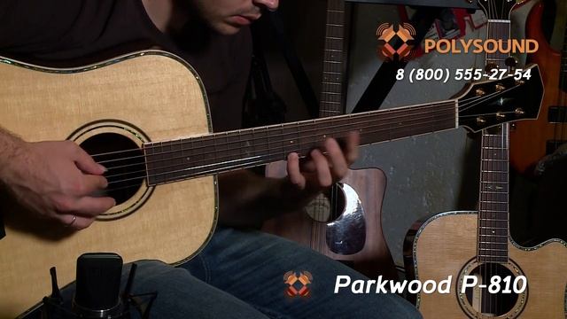 Обзор гитар Parkwood P810 и P860 смотреть онлайн