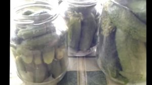 Засолка ОГУРЦОВ.КОРНИШОНЫ-прекрасная закуска.