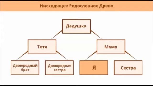 Летопись моей семьи: о семейных ценностях и традициях
