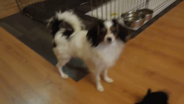 Даяна 6 месяцев смотреть онлайн