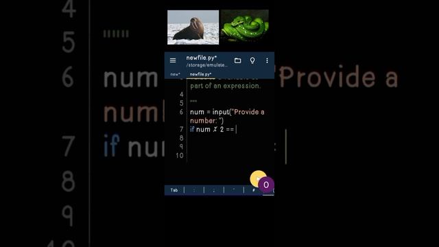 Walrus Operator in Python