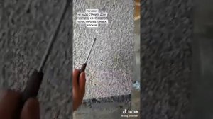 Почему не надо строить дом из полистиролбетонных блоков