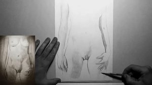 Женское тело female body