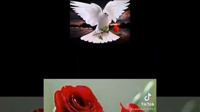 Ассаламу алейкум рахматуллаева баракат Рузи Саид Джума мубарак всем 🤝☝️🤲 смотреть онлайн