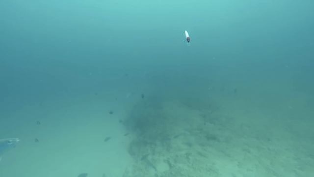 Steep Point Kayak Fishing 2014 смотреть онлайн