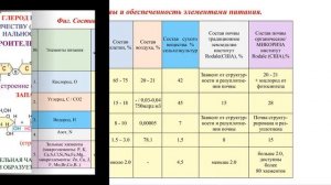 Микориза:   Основа Органического Земледелия