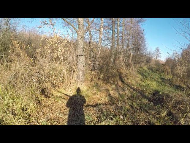 Охота на лисицу с гончими # 4 смотреть онлайн