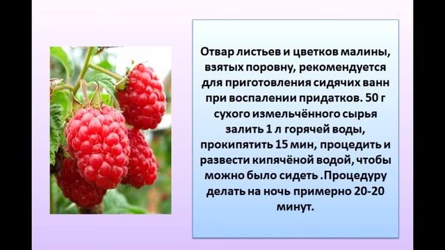 Польза малиновых листьев для организма человека. Малина для здоровья. Чем полезна малина для организма. Доклад про малину 7 класс. Плакат о свойствах малины.