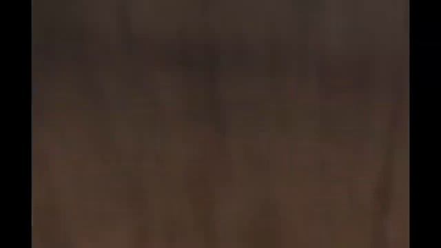 Маленькие поросята и мамы поросят смотреть онлайн