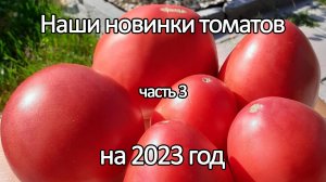 Наши новинки редких сортов томатов на 2023 год. Часть 3