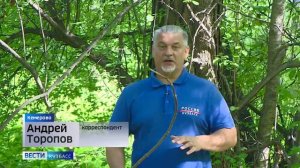 В Кузбассе начался сезон грибов