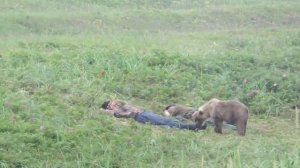 Медведь напал на двух рыбаков