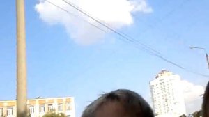 Покупка собачки