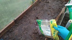 Обработка почвы в теплице после сбора урожая!