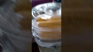 Кукуруза в пароварке ?