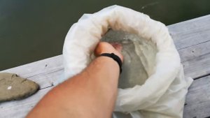 Зарыбление пруда форелью