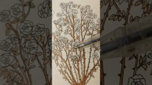 КАК ОБРЕЗАТЬ РОЗЫ? ОМОЛАЖИВАЮЩАЯ обрезка роз. Обрезайте так.