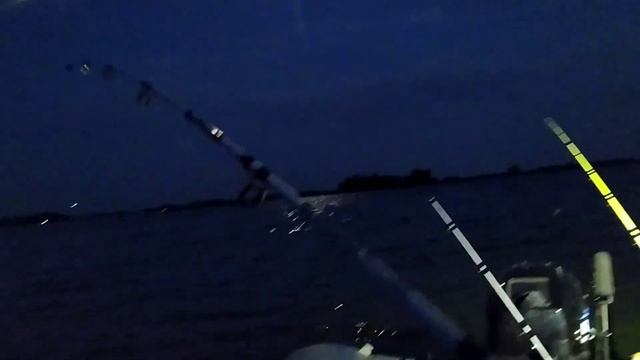 ОНИ НАС ЧУТЬ НЕ СЪЕЛИ! ШАКАЛЫ ВОЮТ! РЫБАЛКА НА СОМА И САЗАНА смотреть онлайн