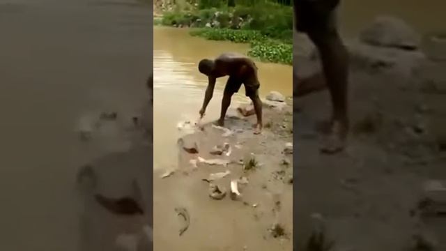 Unusual method catching fishes. Необычный способ ловли рыб.