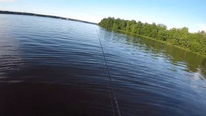 Поездка в Калязин на Волгу. Берши и судачки на джиг. Открыл для себя уловистую резину.