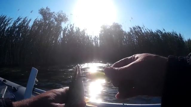 Рыбалка- Троллинг на городском озере. смотреть онлайн