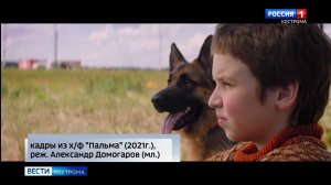 Фильм «Пальма» заставляет костромичей плакать в кинозалах