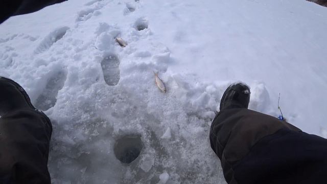 ЛОВИМ ПЛОТВУ НА БЕЗМОТЫЛКУ нимфошарик. Зимняя рыбалка смотреть онлайн