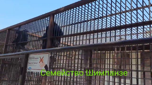 Отдых для души/Белград Сербия смотреть онлайн