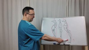 Высота свода ступни От чего зависит.