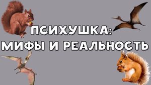 ХИККАН №1 | ПСИХУШКА | МИФЫ И РЕАЛЬНОСТЬ | БАБУЛЯ ХИККАНА