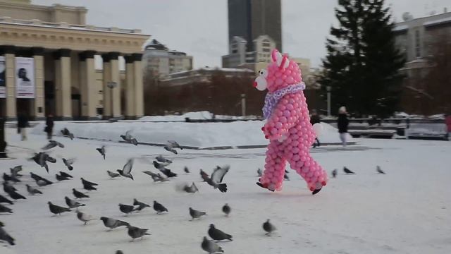 На улицах Новосибирска гуляет медведь