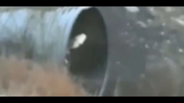 Кто такой Рейк? История появления | Страшные истории смотреть онлайн