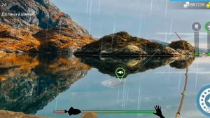 Обыкновенный таймень my fishing world