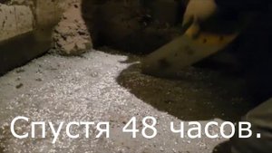 Как работать с сухой смесью ПБС