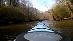 Perception Expression 15.0 Kayak Review