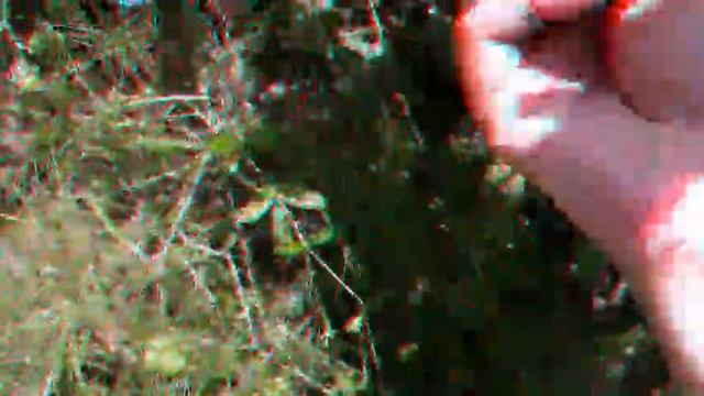 Чудеса на огороде. смотреть онлайн