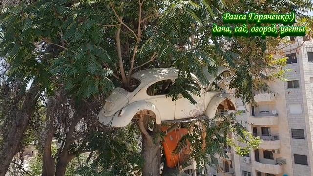 101 чудо света смотреть онлайн