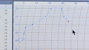 Janome MC 12000 | HorizonLink Stitch Composer, часть 1