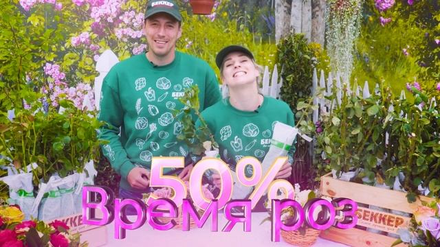 Осенний карнавал роз? скидки саженцы до 50 % ? Плетистые, чайно гибридные, розы флорибунда смотреть онлайн