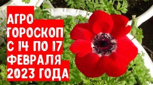 Агрогороскоп с 14 по 17 февраля 2023 года