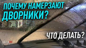 Что делать, если замерзли дворники?